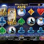 wolfpack pays slot